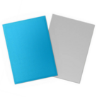 Dragon Shield Standard Dual Matte Card Sleeves Sky Blue & Silver (100)